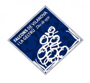 Logo Falcons de Vilanova i la Geltrú (nou)