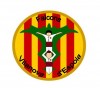 Logo Falcons de Vilanova d'Espoia
